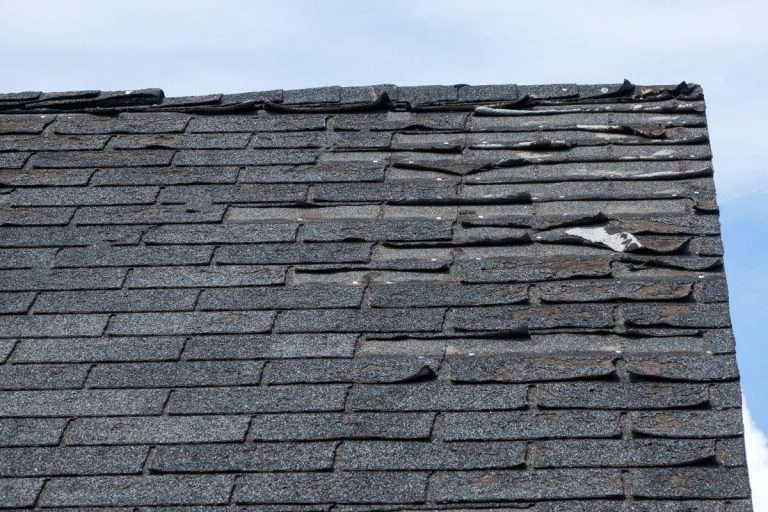 Badly damaged roof shingles, North Oaks