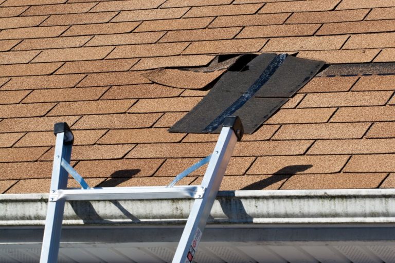 Damaged Roof Shingles Repair in North Oaks