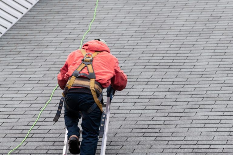 man inspecting a roof, North Oaks MN