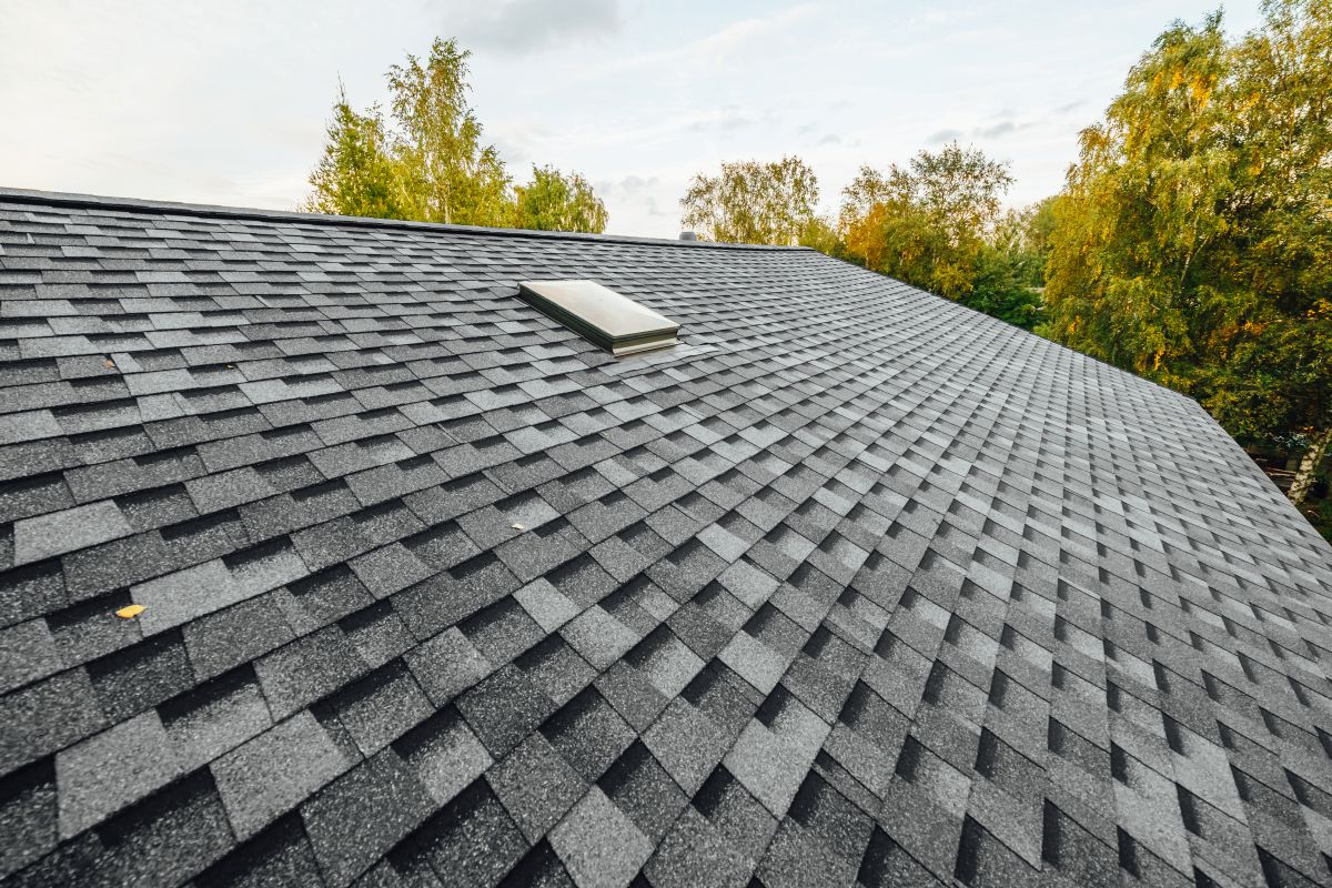 roof of new house with shingles roof-tiles and ventilation window, North Oaks