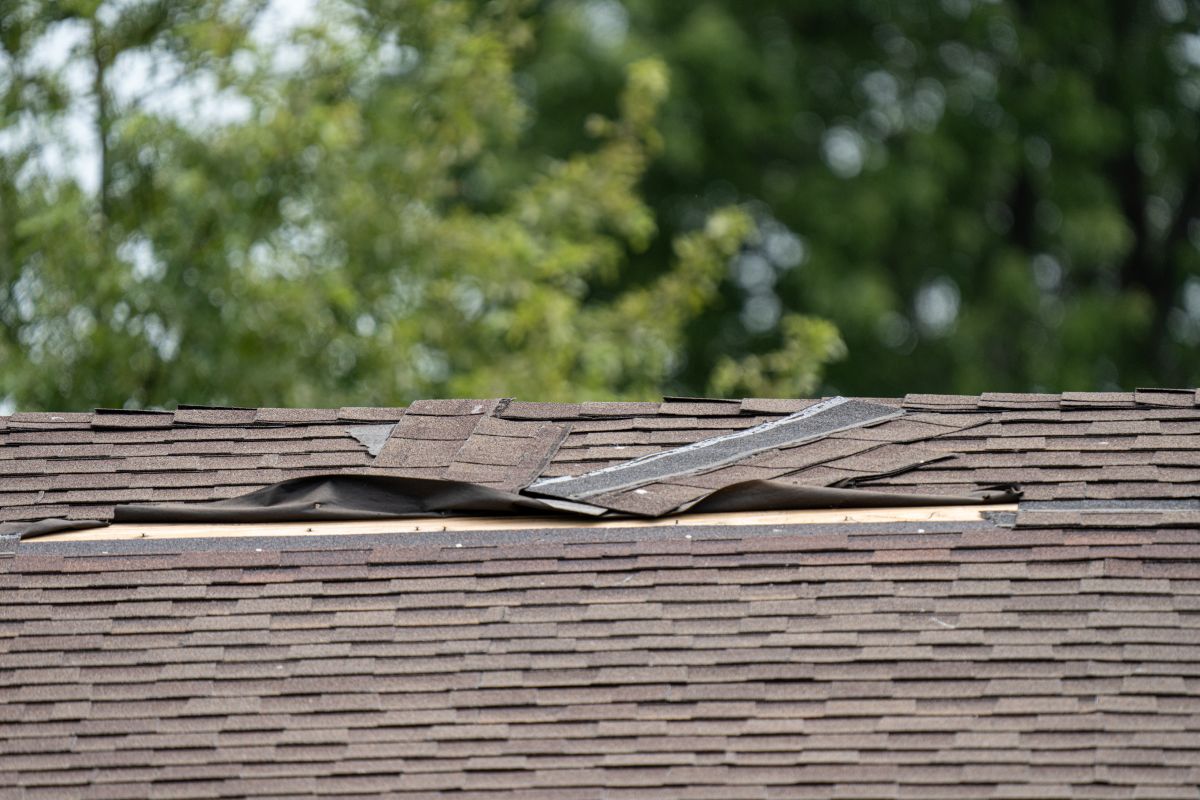 roof shingles have been damaged by high winds and strong storms, North Oaks
